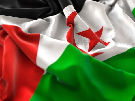 DECLARACIÓN INSTITUCIONAL ANTE EL FIN DEL ALTO EL FUEGO EN EL SAHARA OCCIDENTAL