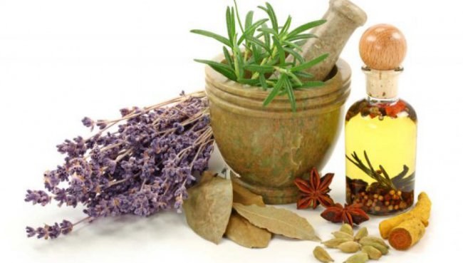 Ekoudalatx impartirá el curso “Conociendo las plantas medicinales”