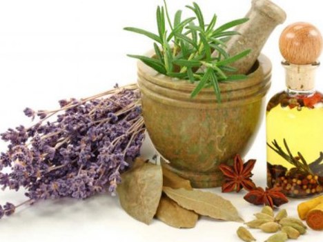 Ekoudalatx impartirá el curso “Conociendo las plantas medicinales”