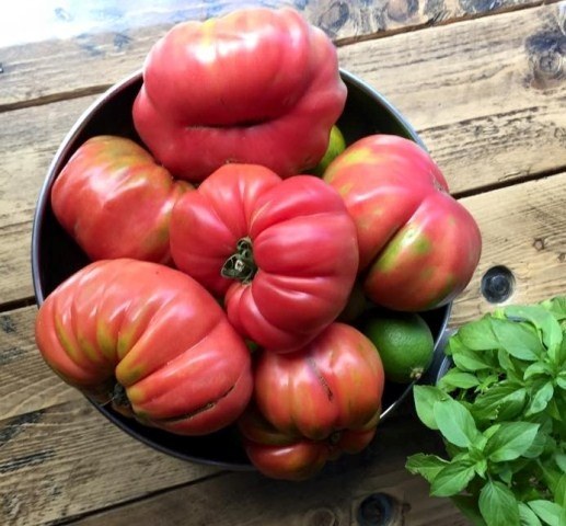 La feria especial del tomate se celebrará el 11 de septiembre