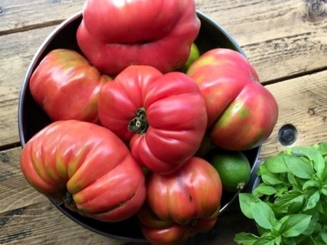 La feria especial del tomate se celebrará el 11 de septiembre