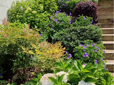 Renovación de dos jardines en Araba Ibilbidea