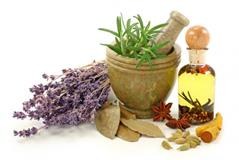 CONOCIENDO LAS PLANTAS MEDICINALES