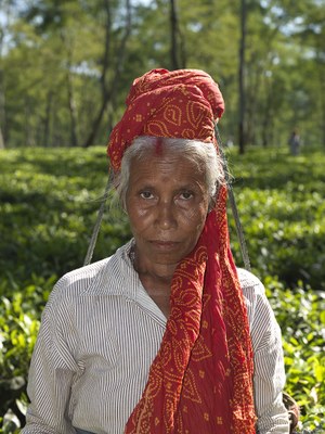 JOSEBA EGIBAR: "India"