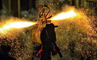 TORO DE FUEGO