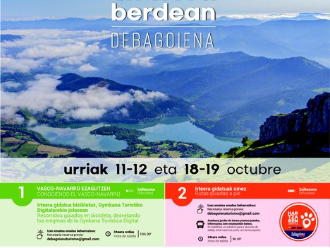 Arima berdea Debagoienan