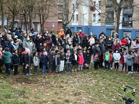 Bizitzaren eta heriotzaren sinbolo gisa landatutako zuhaitzak