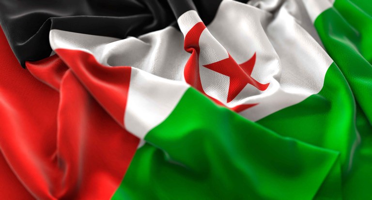 MENDEBALDEKO SAHARAKO SU-ETENAREN AMAIERAREN AURREAN ADIERAZPEN INSTITUZIONALA