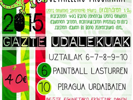 Udaero 2015 programan izena ematea zabalik