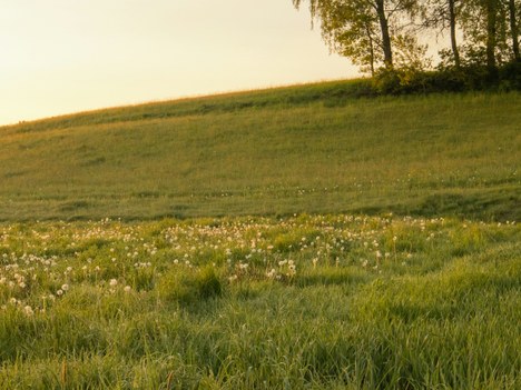 Urkulu inguruko udal-lursailen errentamendua azken esleipen-fasean dago