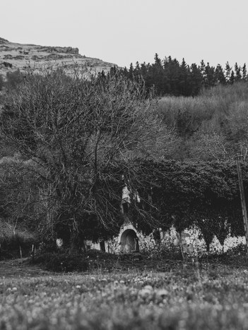 ERAKUSKETA