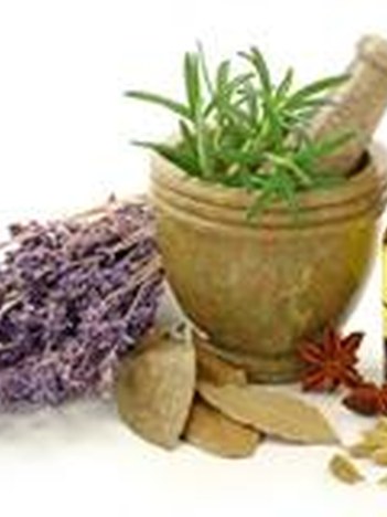 SENDABELARRAK EZAGUTZEN