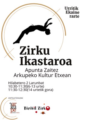 Zirku tailerra